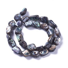 Paua Jūras Gliemežvāku Pērlītes, Tīrradņi, Krāsa: Krāsaina, 10-19x5-8mm, apmēram 27-29gab/38-38.5cm/vītne cena un informācija | Rotu veidošana, pērļošana | 220.lv