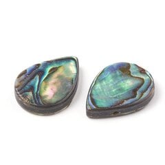 Mother of Pearl Abalone/Paua Pērlītes, Piliens, 18x13x3mm, Krāsa: Daudzkrāsaina, Caurums 1mm, 2gab. cena un informācija | Rotu veidošana, pērļošana | 220.lv