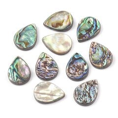 Mother of Pearl Abalone/Paua Pērlītes, Piliens, 18x13x3mm, Krāsa: Daudzkrāsaina, Caurums 1mm, 2gab. cena un informācija | Rotu veidošana, pērļošana | 220.lv