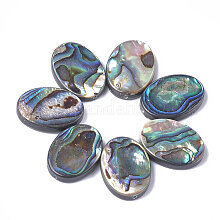 Perlamutra Pērlītes, Abalone/Paua, Ovāls, 18x13x3,5mm, Caurums 1mm, 2gab cena un informācija | Rotu veidošana, pērļošana | 220.lv