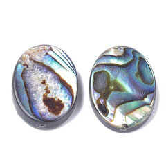 Perlamutra Pērlītes, Abalone/Paua, Ovāls, 18x13x3,5mm, Caurums 1mm, 2gab cena un informācija | Rotu veidošana, pērļošana | 220.lv