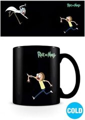 Rick and Morty Portals Heat Changing Mug 315ml cena un informācija | Datorspēļu suvenīri | 220.lv