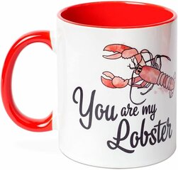 Warner Bros - Friends - "You Are My Lobster" Mug 315ml cena un informācija | Datorspēļu suvenīri | 220.lv