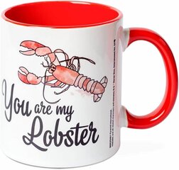 Warner Bros - Friends - "You Are My Lobster" Mug 315ml cena un informācija | Datorspēļu suvenīri | 220.lv