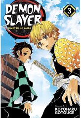 Комикс Manga Demon Slayer vol 3 цена и информация | Атрибутика для игроков | 220.lv