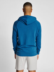 Блуза HUMMEL hmIISAM 2.0 HOODIE 21433370055700499198336 цена и информация | Мужская спортивная одежда | 220.lv