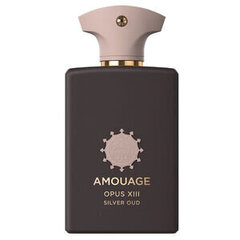 Amouage Library Collection Opus XIII Silver Oud унисекс парфюм 100 мл цена и информация | Женские духи | 220.lv