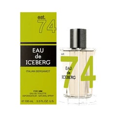 Tualetes ūdens Iceberg Eau de Iceberg Italian Bergamot EDT vīriešiem, 100 ml cena un informācija | Vīriešu smaržas | 220.lv