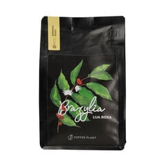 Coffee Plant Brazilian Lua Roxa maltā kafija, 250g cena un informācija | Kafija, kakao | 220.lv