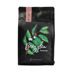 Coffee Plant Brazilian Mogiana maltā kafija, 250g cena un informācija | Kafija, kakao | 220.lv