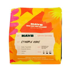 HAYB Premium Ethiopian Koke Natural Filter Coffee - анаэробно обработанный - 250 г. цена и информация | Кофе, какао | 220.lv