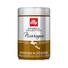 Кофе illy Arabica Selection - Никарагуа 250 г цена и информация | Кофе, какао | 220.lv