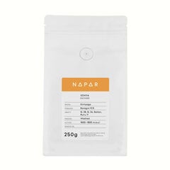 Napar Kenya Gachami maltā kafija, 250g cena un informācija | Kafija, kakao | 220.lv