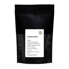 Tim Wendelboe Geisha maltā kafija, 250g cena un informācija | Kafija, kakao | 220.lv