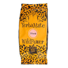 Yerba Mate WildPower Fitness zāļu tēja, 400g cena un informācija | Tēja | 220.lv