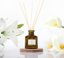 PRISTINE niedru difuzors, Lily&Jasmine, 1,6 Oz cena un informācija | Mājas aromāti | 220.lv