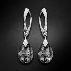 Серебряные серьги "Лунный Блеск (Silver Night)" с кристаллами Swarovski™ DS03A120 цена и информация | Серьги | 220.lv