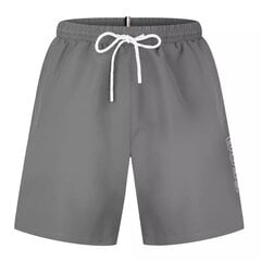 Мужские шорты Stormfish Swim Shorts Mens,серые цена и информация | Плавки, плавательные шорты | 220.lv