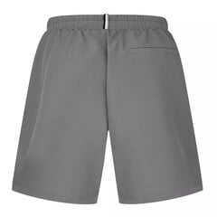 Мужские шорты Stormfish Swim Shorts Mens,серые цена и информация | Плавки, плавательные шорты | 220.lv