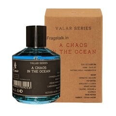 Parfimērijas ūdens Emir Valar A Chaos In The Ocean EDP vīriešiem, 100 ml cena un informācija | Vīriešu smaržas | 220.lv