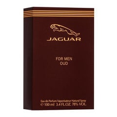 Jaguar Oud For Men Eau de Parfum для мужчин 100 мл цена и информация | Мужские духи | 220.lv