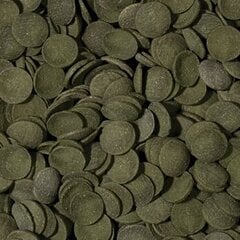 Корм для аквариумных рыб TROPICAL Green Algae Wafers 250 мл/113 г цена и информация | Корм для рыб | 220.lv