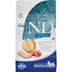 FARMINA N&D Ocean Dog Salmon, Cod, Cantaloupe, Melon Adult Mini - сухой корм для собак - 800 г цена и информация | Сухой корм для собак | 220.lv