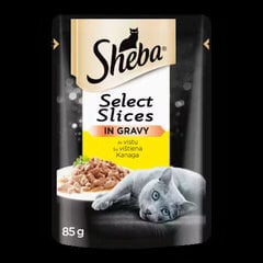 Sheba kaķēniem, ar vistu mērcē, 85 g x 28 gab. cena un informācija | Konservi kaķiem | 220.lv