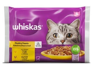 Whiskas vecākiem kaķiem, ar mājputnu gaļu, 4 x 85 g x 13 gab. cena un informācija | Konservi kaķiem | 220.lv