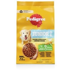 Pedigree Junior suņiem, ar mājputnu gaļu un dārzeņiem, 500 g x 6 gab. cena un informācija | Sausā barība suņiem | 220.lv