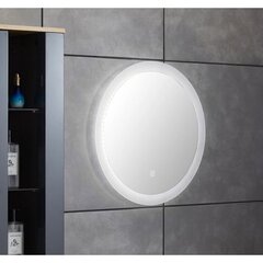 Spogulis ar LED apgaismojumu LYFCO 204-3-17-2 60 цена и информация | Зеркала в ванную | 220.lv