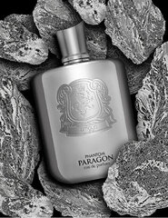 Smaržūdens Zimaya Phantom Paragon EDP vīriešiem, 100 ml cena un informācija | Vīriešu smaržas | 220.lv