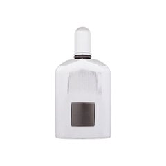 Smaržūdens Tom Ford Grey Vetiver EDP vīriešiem, 100 ml цена и информация | Мужские духи | 220.lv