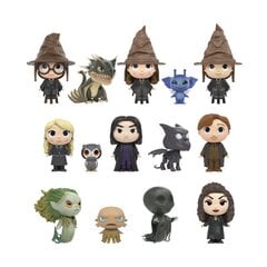 FUNKO Mystery Minis - Harry Potter cena un informācija | Smilšu kastes, smiltis | 220.lv