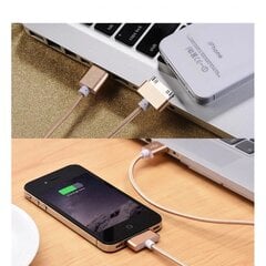 iPhone 4 USB 30 kontaktu kabelis, 1 m cena un informācija | Auto piederumi | 220.lv