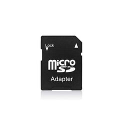 SD — адаптер/считыватель карт Micro SD цена и информация | Карты памяти для мобильных телефонов | 220.lv