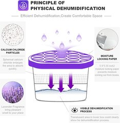 Поглотитель влаги лаванда - 500мл х 6 шт. цена и информация | Осушители воздуха, влагопоглотители | 220.lv