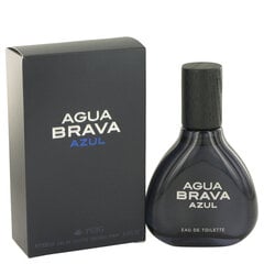 Tualetes ūdens Antonio puig agua brava blue EDT vīriešiem, 100 ml cena un informācija | Vīriešu smaržas | 220.lv