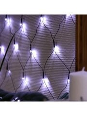 Штора - сетка, 160LED, холодный белый цена и информация | Гирлянды | 220.lv