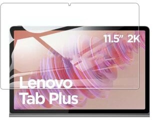 Rūdīts stikls LENOVO TAB M11 10,95" 11" TB330FU TB330XU TB331FC цена и информация | Чехлы для планшетов и электронных книг | 220.lv