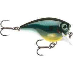 Lure BX Brat 3 5cm/10g/0.9m CBN cena un informācija | Vobleri, ēsmas, vizuļi | 220.lv