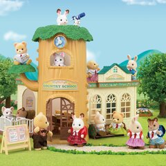 SYLVANIAN FAMILIES игровой набор Country Tree School цена и информация | Песочницы, песок | 220.lv