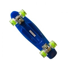 Mini Longboard - zils cena un informācija | Skrituļdēļi | 220.lv