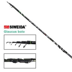 Stienis SWD Sports Glaucus bolo 5m līdz 30g cena un informācija | Makšķeres, spiningi, makšķeru turētāji un statīvi | 220.lv