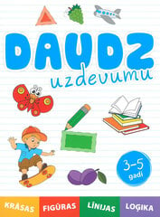 Daudz uzdevumu цена и информация | Книжки - раскраски | 220.lv