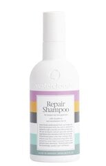 Šampūns bojātiem matiem, ar makadāmijas sēklu eļļu Waterclouds Repair shampoo, 250 ml cena un informācija | Šampūni | 220.lv