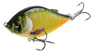 Lure LJ Original Arrow Jerk 8S 8cm/23g/0,5-1,5m 031 cena un informācija | Vobleri, ēsmas, vizuļi | 220.lv