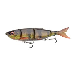 SavageGear 4Play V2 Swim & Jerk 16,5 cm/35 g/1–2 m asari cena un informācija | Vobleri, ēsmas, vizuļi | 220.lv