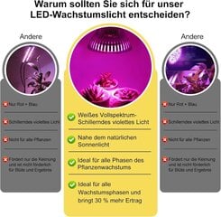 LED augšanas gaisma Fdit 50W cena un informācija | Diedzēšanas trauki, augu lampas | 220.lv