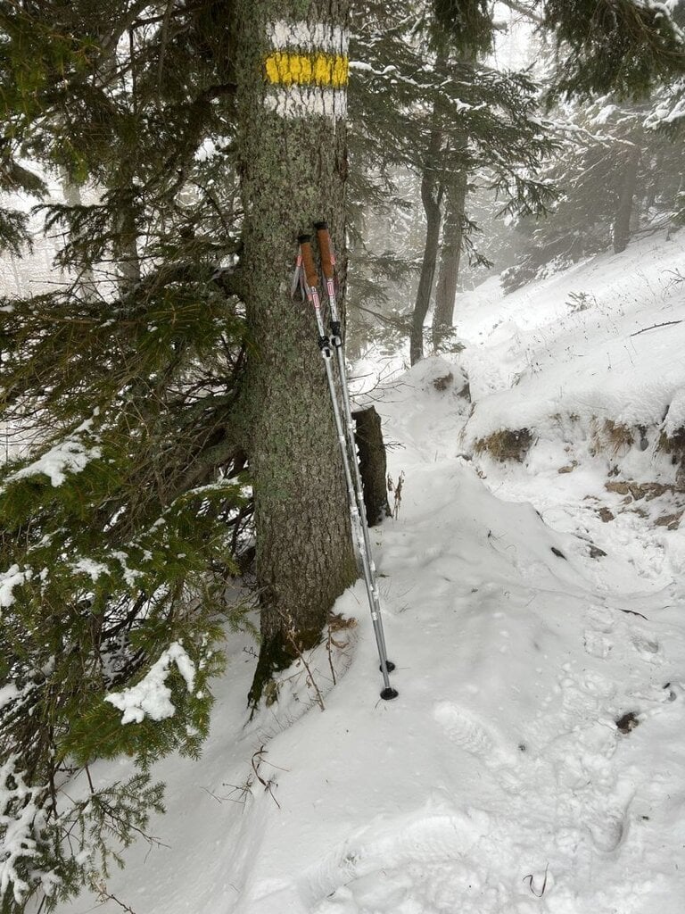 Pārgājienu nūjas Regulējams 5-daļīgs ACRA korķa rokturis 115-135 cm цена и информация | Nūjošanas nūjas | 220.lv